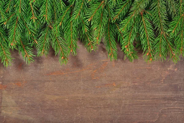 Spruce gren på en trä bakgrund — Stockfoto