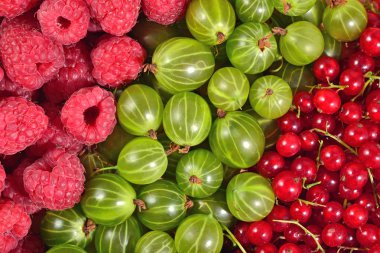 Arka planı olarak çeşitli taze çilek yakın çekim