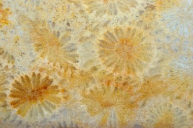 Arka plan olarak taş renkli doku 