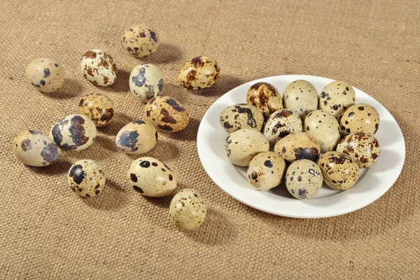 Quail eggs in a white bowl in a sacking — Stock Photo, Image