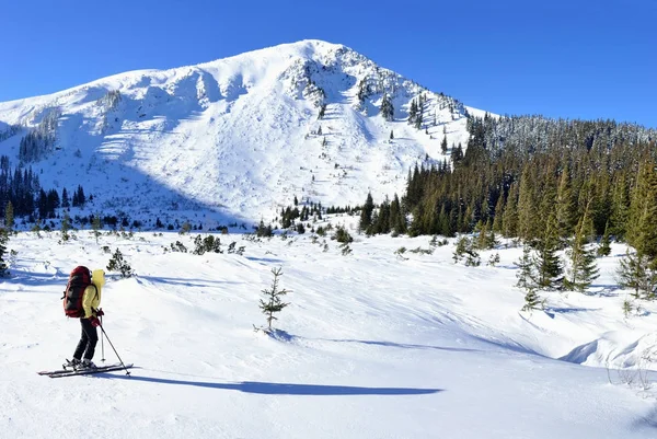 Esquiador de turismo alpino na montanha de inverno — Fotografia de Stock