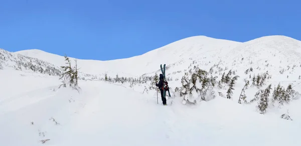 Η αλπική σκιέρ περιοδείες στα βουνά του χειμώνα. — Φωτογραφία Αρχείου