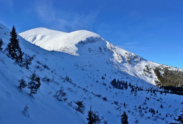 Winter berglandschap in de Karpaten — Stockfoto