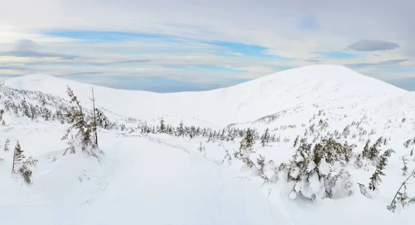 Zimowy krajobraz górski w Karpatach — Zdjęcie stockowe