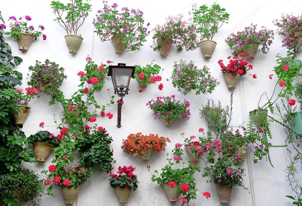 Flowers in flowerpot on the walls on streets of Cordoba, Spain