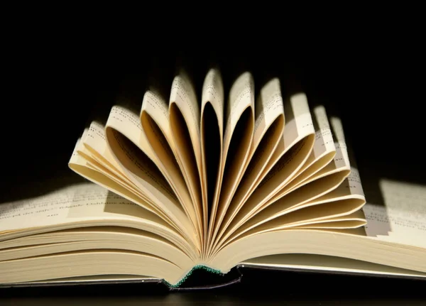 Book open in dark background — Stock Photo, Image