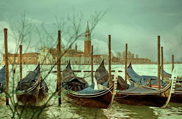 Reflexión abstracta del árbol borrosa con Venecia como fondo (Italia ) — Foto de Stock