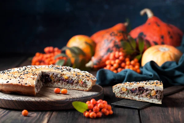 Homemade pie with meat, pumpkin and cranberry — Stock Photo, Image