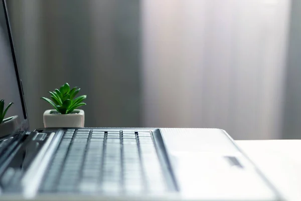 Workplace. A laptop on a table opposite a window. Telework. Work from home