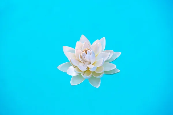 Einzelne weiße Seerosenblume, die auf dem Wasser schwimmt — Stockfoto