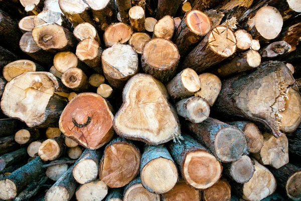 Skládaný řez dřeva v zimě dřevníku — Stock fotografie