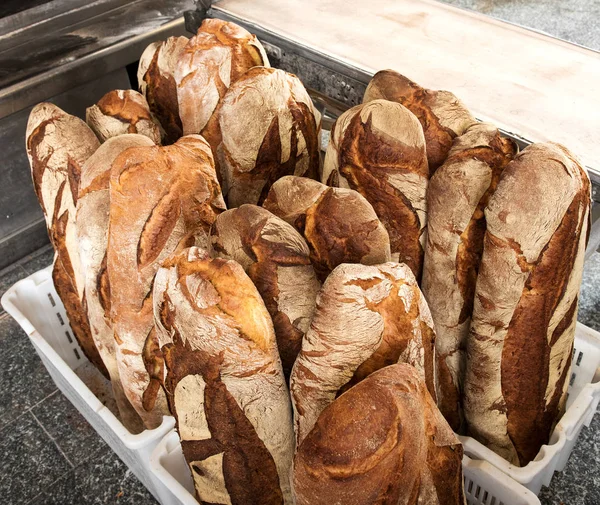 Pani di pane integrale fuori dal forno — Foto Stock