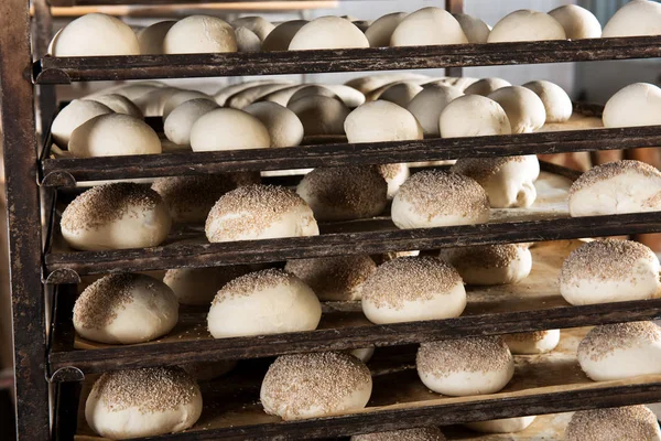Bollos de pan de sésamo listos para el horno — Foto de Stock
