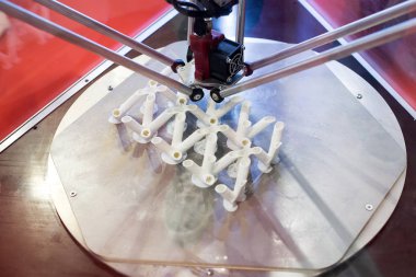 3D yapısı yazdırma