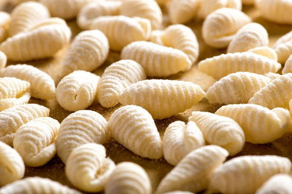 Raw shell shape pasta — Stock Photo, Image