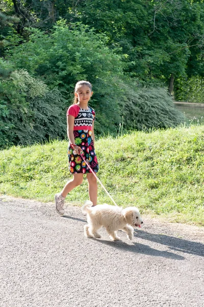 Hübsches kleines Mädchen geht mit ihrem Hund spazieren — Stockfoto