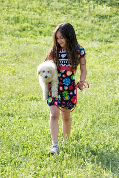Hübsches junges Mädchen trägt ihren kleinen Haustierpudel — Stockfoto