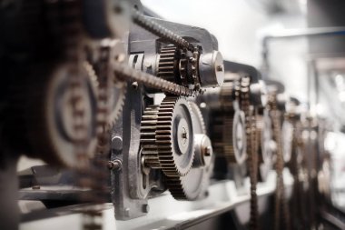Pinyonlar fabrika makine ile rafları