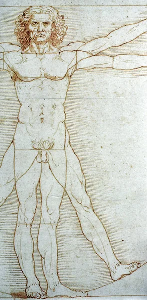 Leonardo da Vincis drawing of human anatomy — Stock Photo, Image