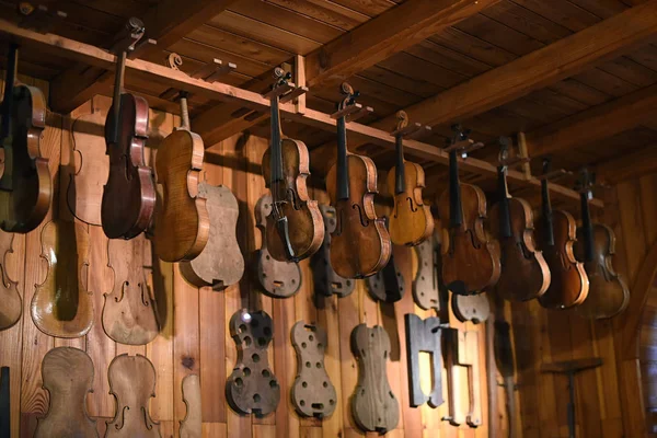 Luthier atölyede asılı keman