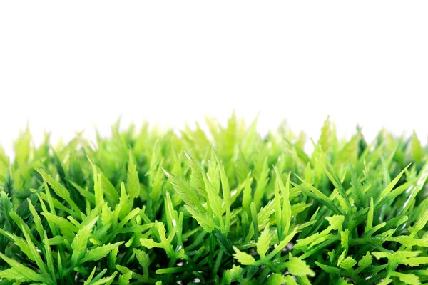 밝은 녹색 인공 플라스틱 잔디 — 스톡 사진