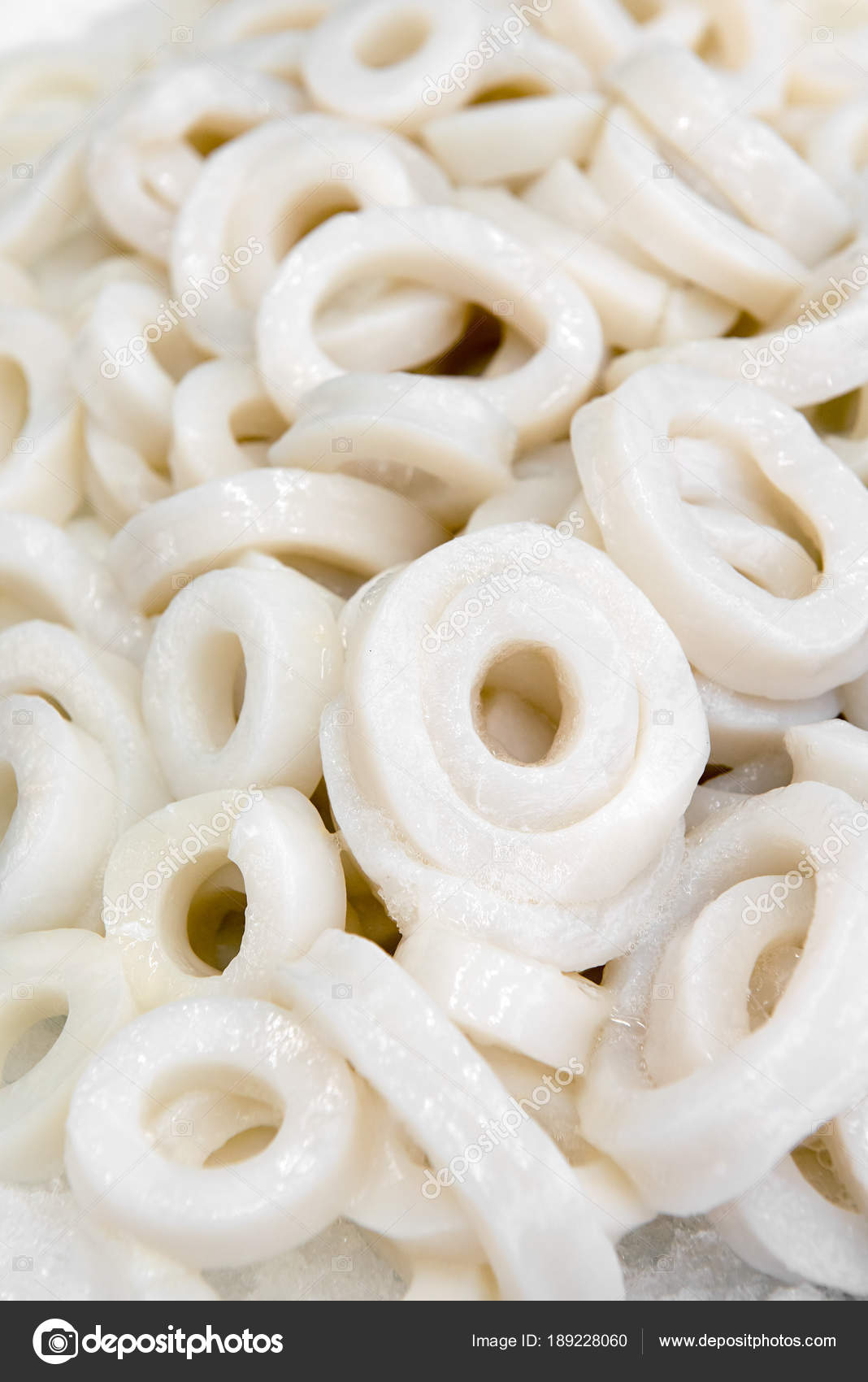 Fresh Raw Calamari Or Squid Rings Stock Photo Image By C Photology1971 Fresh Raw Calamari Or Squid Rings Stock Photo Image By C Photology1971