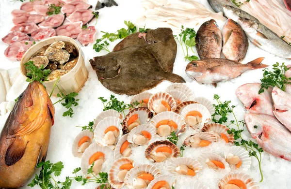 Mariscos surtidos en exhibición en un mercado de pescado —  Fotos de Stock