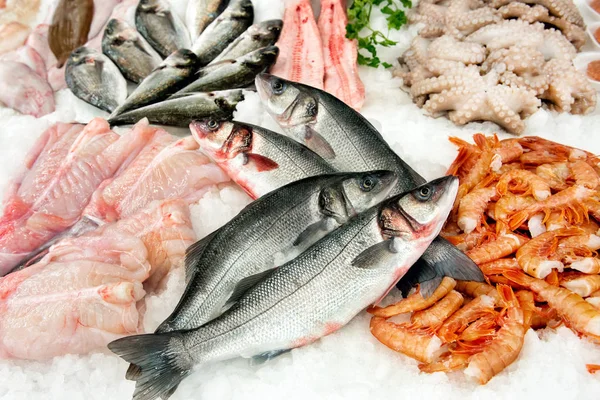 Farklı türde balık pazarında görüntülemek — Stok fotoğraf