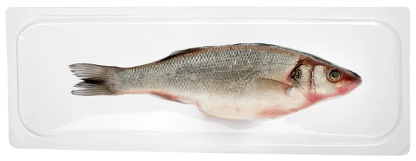 Fresh vacuum packed whole sea bass fish — Stock Photo, Image