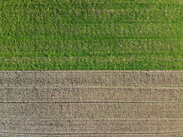 Düz sınırı olan iki tarım arazisi — Stok fotoğraf
