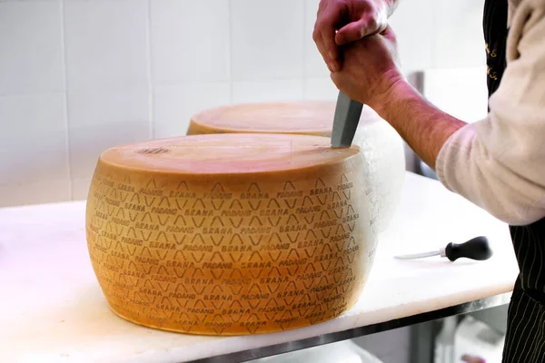 Man Slicing Open Wheel Grana Padano Cheese Large Knife Speciality — Stock Photo, Image