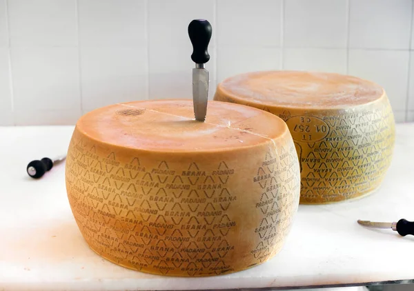 Preparing Cut Two Wheels Grana Padano Cheese Northern Italy River — Stock Photo, Image