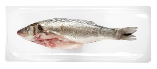 Vacuum Packed Whole Fresh Sea Bass Sealed Airtight See Plastic — Stock Photo, Image