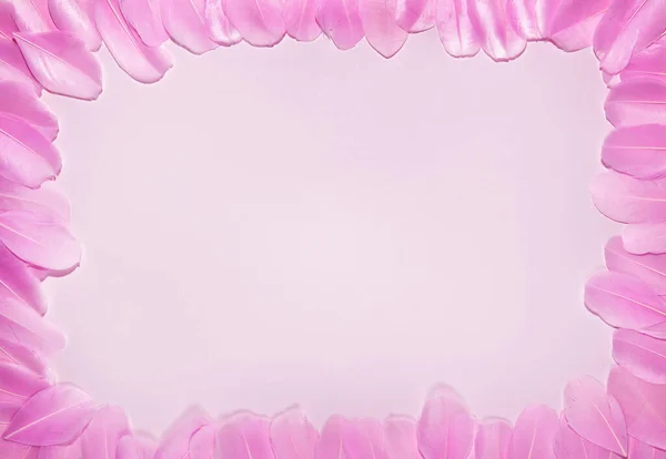 精致的带有粉色羽毛边框的女性卡片 其中心复制空间用于问候语或文字 — 图库照片