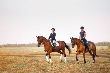 iki kız sahada ata binmek.