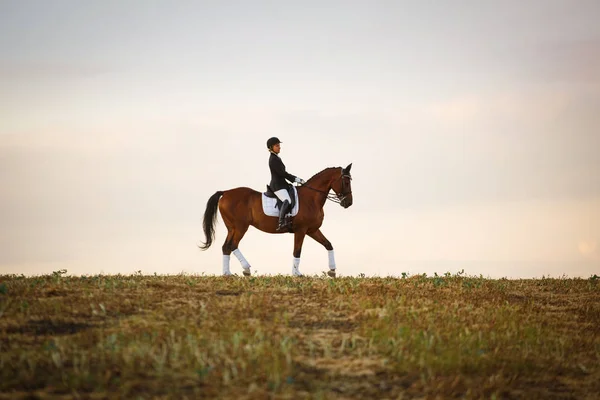 Mulher equitação marrom cavalo usando capacete — Fotografia de Stock