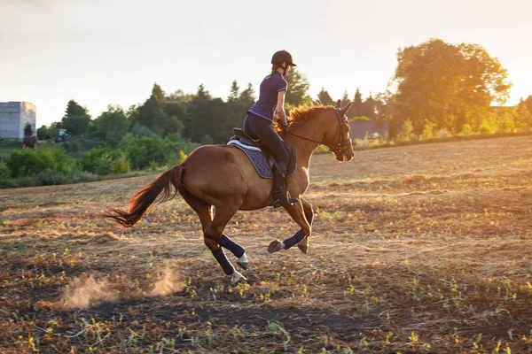 Fille équitation cheval au coucher du soleil . — Photo