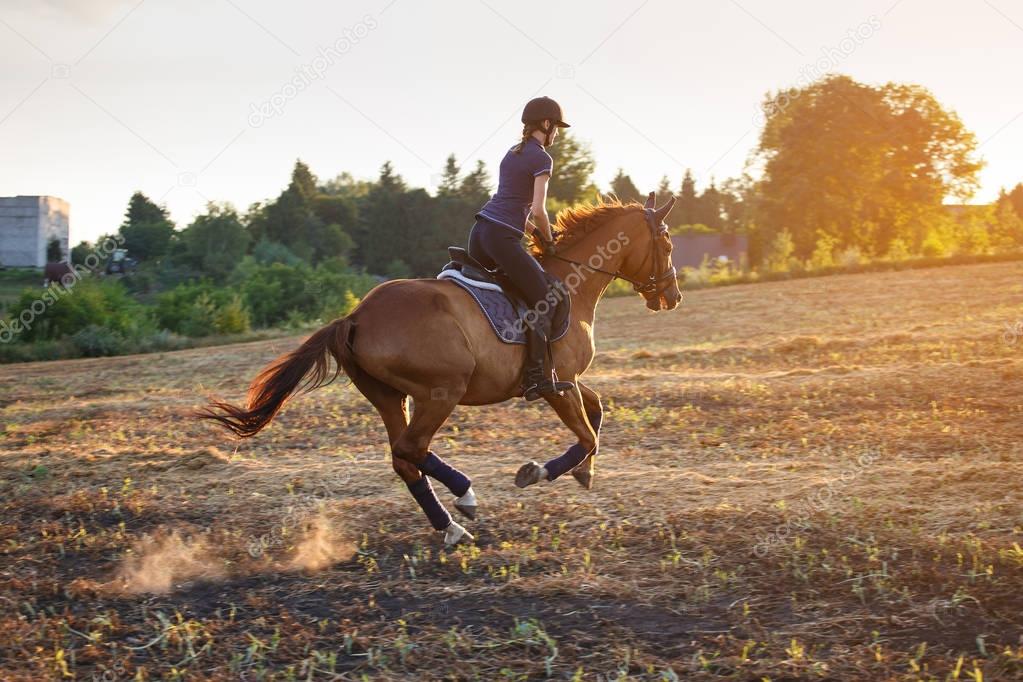 Girl riding horse at sunset.