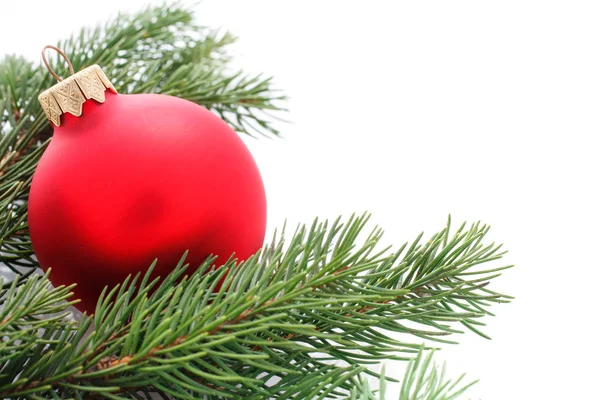 Kerst mooie glanzende bal en vuren takjes op wit — Stockfoto