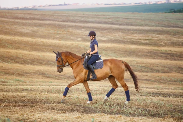 Kvinna Rider brun häst bär hjälm i fältet — Stockfoto