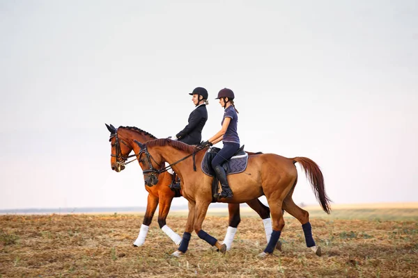Dos mujeres montan a caballo en el campo . — Foto de Stock
