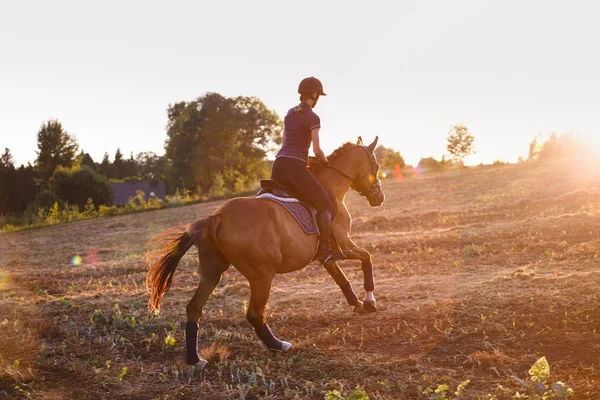 Fille équitation cheval au coucher du soleil . — Photo