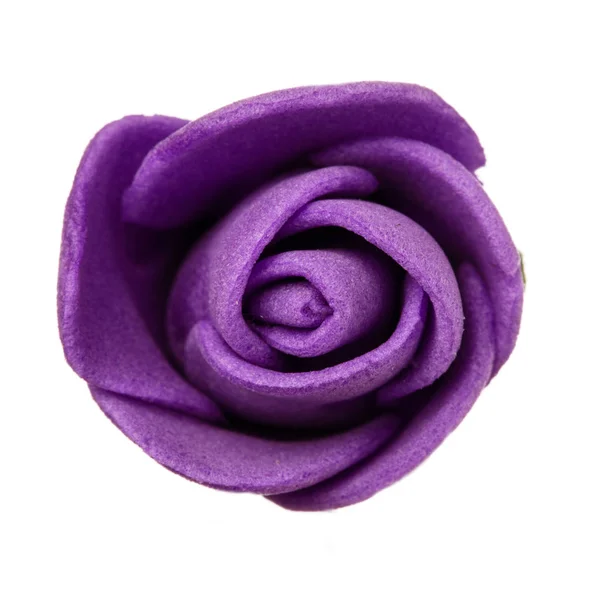 Tête de fleur violette isolée, belle décoration, vue dessus — Photo
