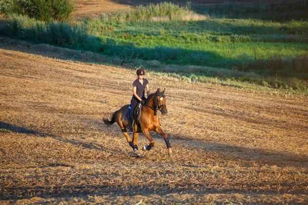 Hermosa mujer de elegancia vaquera, montando un caballo. Tiene cuerpo deportivo delgado. Personas y animales. Ecuestre . — Foto de Stock