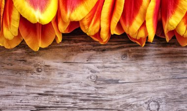 Ahşap tahta üzerinde güzel Lale