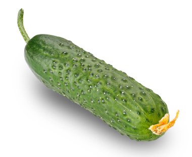 salatalık beyaz arkaplanda izole edildi.