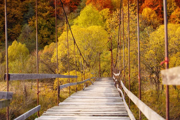Puente colgante en el bosque — Foto de Stock
