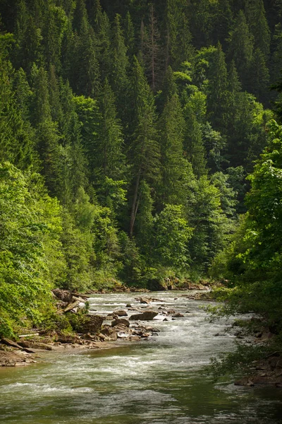 Montaña río paisaje —  Fotos de Stock