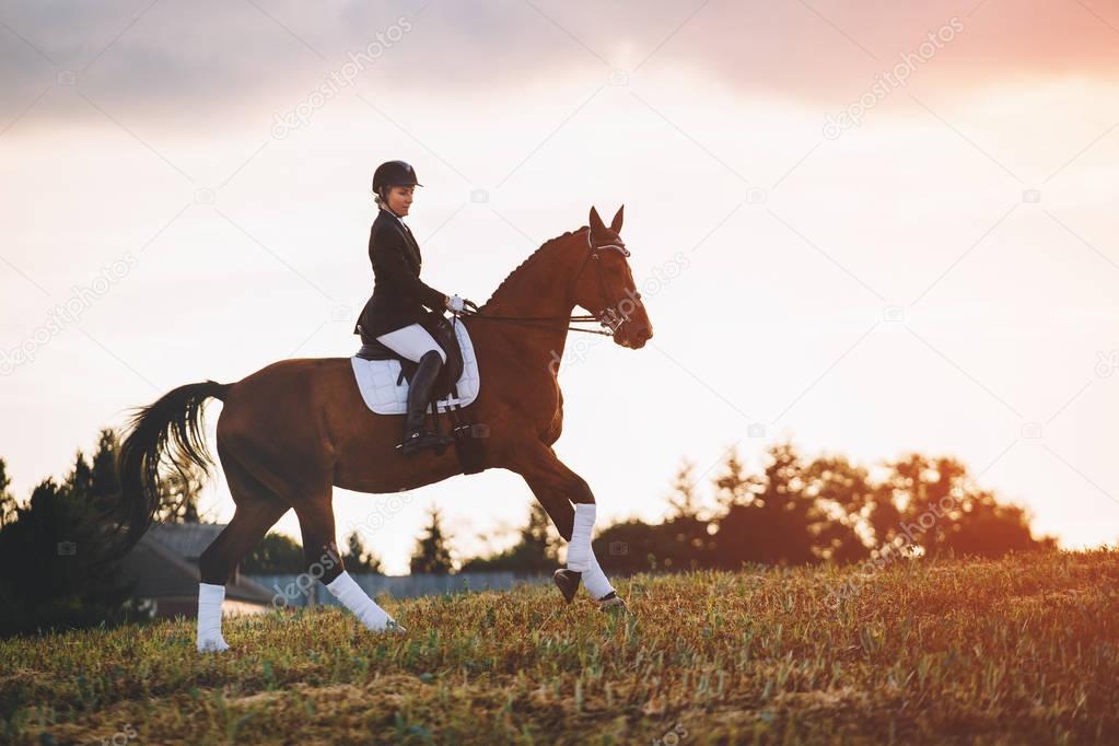 woman riding brown horse wearing helmet in field