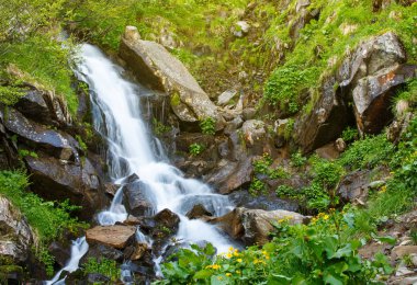 güzel şelale orman, Bahar peyzaj içinde